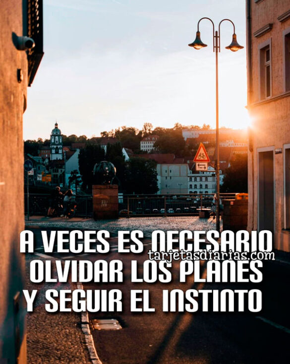 A VECES ES NECESARIO OLVIDAR LOS PLANES Y SEGUIR EL INSTINTO
