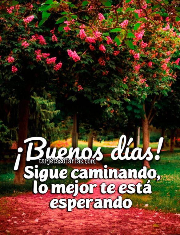 ¡BUENOS DÍAS! SIGUE CAMINANDO, LO MEJOR TE ESTÁ ESPERANDO