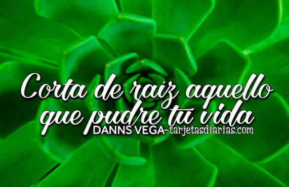 CORTA DE RAÍZ AQUELLO QUE PUDRE TU VIDA