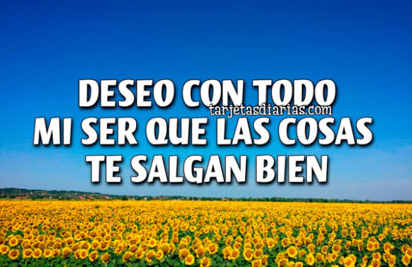DESEO CON TODO MI SER QUE LAS COSAS TE SALGAN BIEN