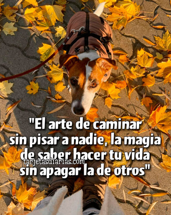 “EL ARTE DE CAMINAR SIN PISAR A NADIE, LA MAGIA DE SABER HACER TU VIDA SIN APAGAR LA DE OTROS”