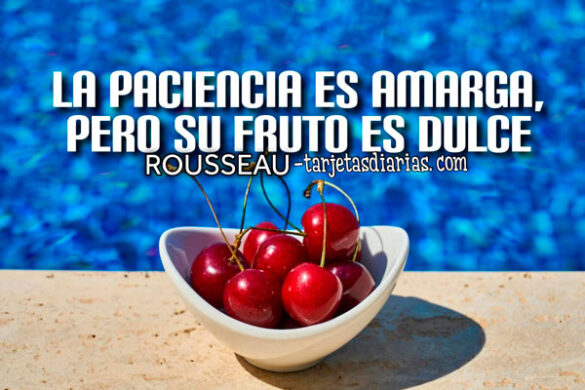 LA PACIENCIA ES AMARGA, PERO SU FRUTO ES DULCE