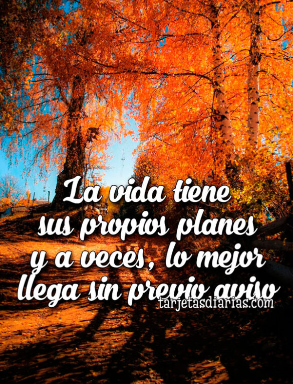 LA VIDA TIENE SUS PROPIOS PLANES Y A VECES, LO MEJOR LLEGA SIN PREVIO AVISO