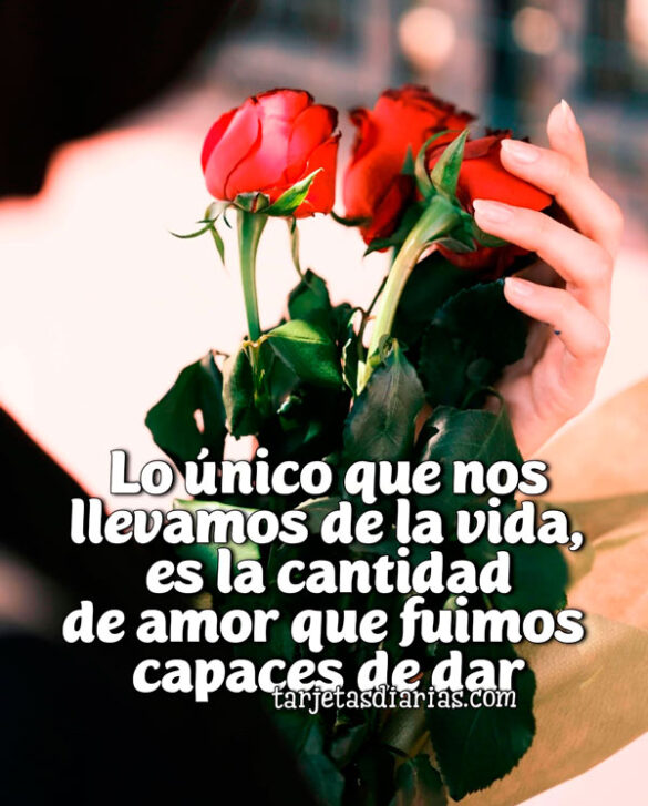 LO ÚNICO QUE NOS LLEVAMOS DE LA VIDA, ES LA CANTIDAD DE AMOR QUE FUIMOS CAPACES DE DAR