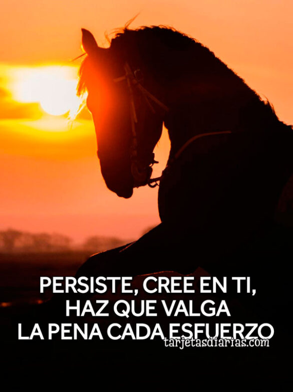 PERSISTE, CREE EN TI, HAZ QUE VALGA LA PENA CADA ESFUERZO