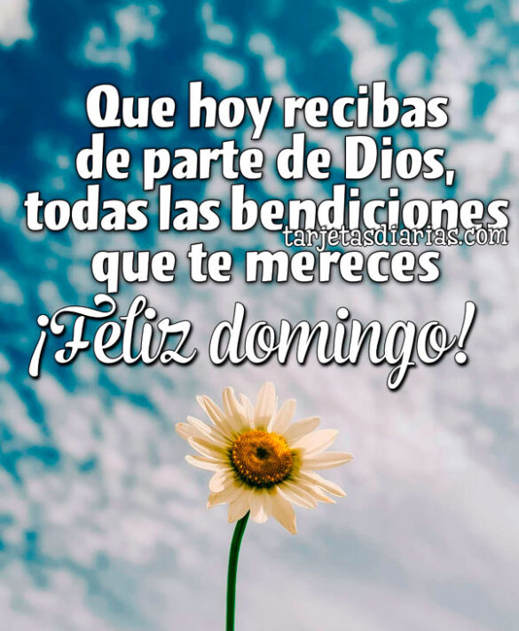 QUE HOY RECIBAS DE PARTE DE DIOS, TODAS LAS BENDICIONES QUE TE MERECES. ¡FELIZ DOMINGO!