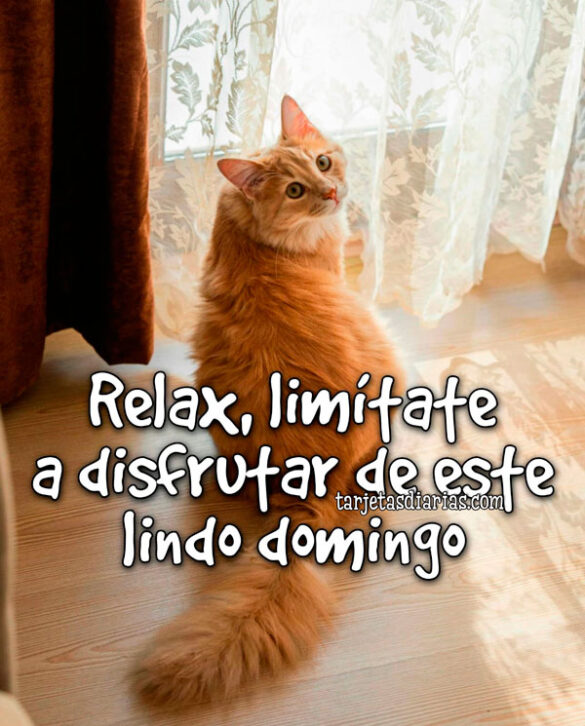 RELAX, LIMÍTATE A DISFRUTAR DE ESTE LINDO DOMINGO