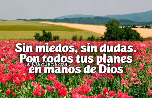 SIN MIEDOS, SIN DUDAS. PON TODOS TUS PLANES EN MANOS DE DIOS - Tarjetas ...