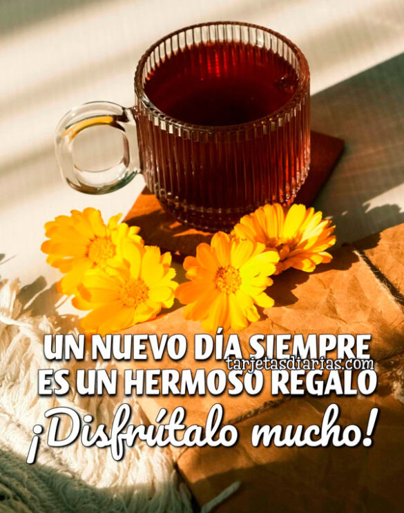 UN NUEVO DÍA SIEMPRE ES UN HERMOSO REGALO. ¡DISFRÚTALO MUCHO!