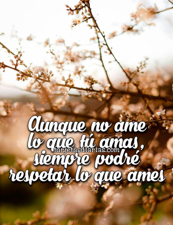 AUNQUE NO AME LO QUE TÚ AMAS, SIEMPRE PODRÉ RESPETAR LO QUE AMES