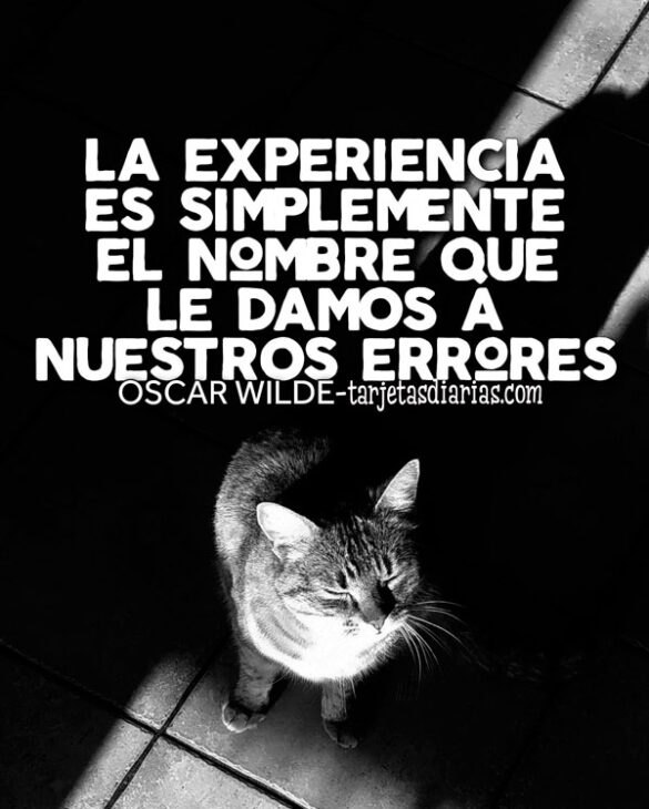 LA EXPERIENCIA ES SIMPLEMENTE EL NOMBRE QUE LE DAMOS A NUESTROS ERRORES