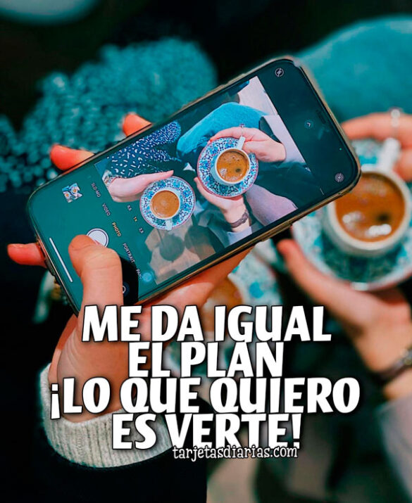 ME DA IGUAL EL PLAN. ¡LO QUE QUIERO ES VERTE!