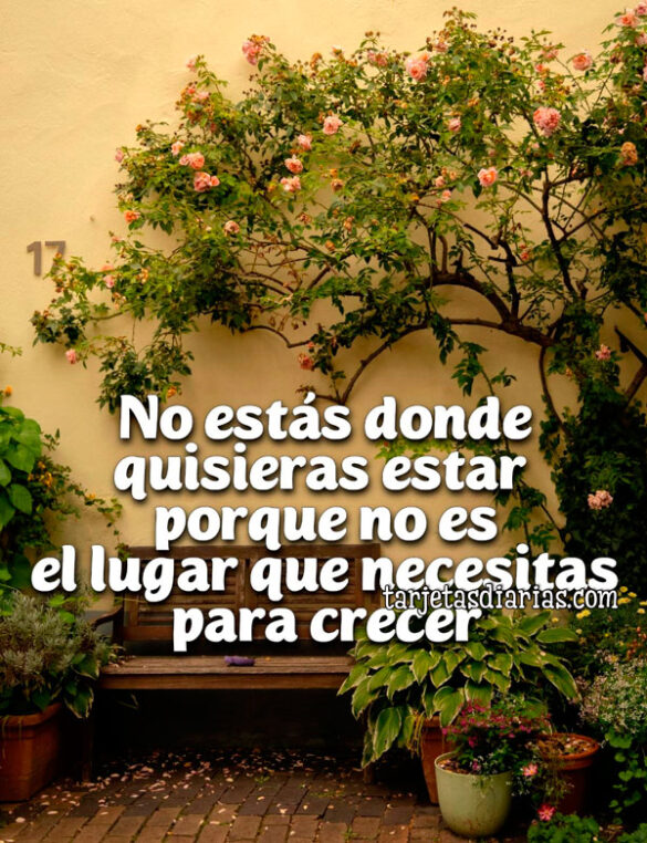 NO ESTÁS DONDE QUISIERAS ESTAR PORQUE NO ES EL LUGAR QUE NECESITAS PARA CRECER