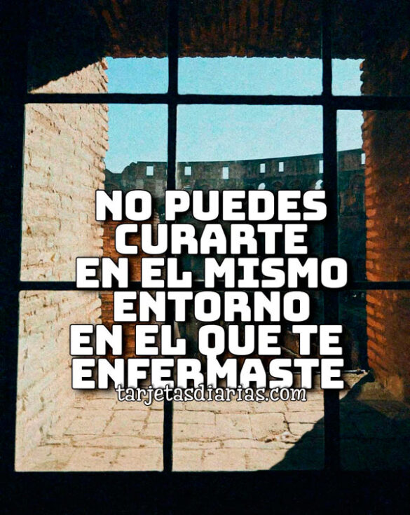 NO PUEDES CURARTE EN EL MISMO ENTORNO EN EL QUE TE ENFERMASTE