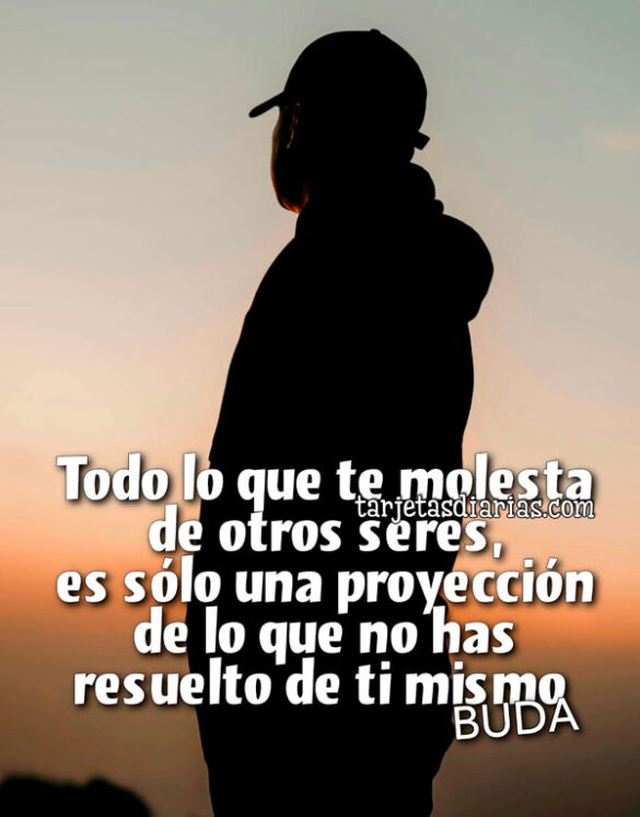 TODO LO QUE TE MOLESTA DE OTROS SERES, ES SÓLO UNA PROYECCIÓN DE LO QUE NO HAS RESUELTO DE TI MISMO