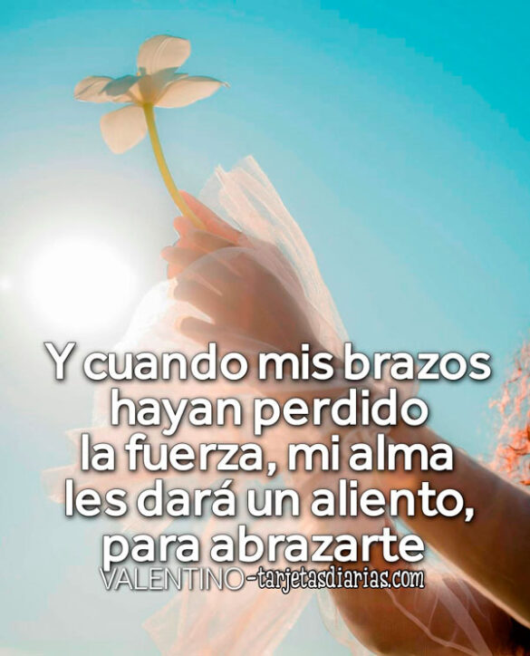 Y CUANDO MIS BRAZOS HAYAN PERDIDO LA FUERZA, MI ALMA LES DARÁ UN ALIENTO PARA ABRAZARTE