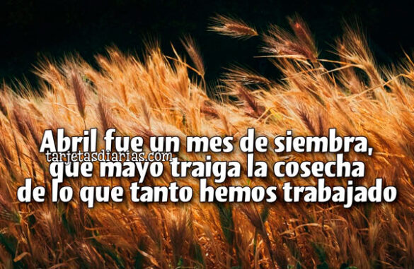 ABRIL FUE UN MES DE SIEMBRA, QUE MAYO TRAIGA LA COSECHA DE LO QUE TANTO HEMOS TRABAJADO
