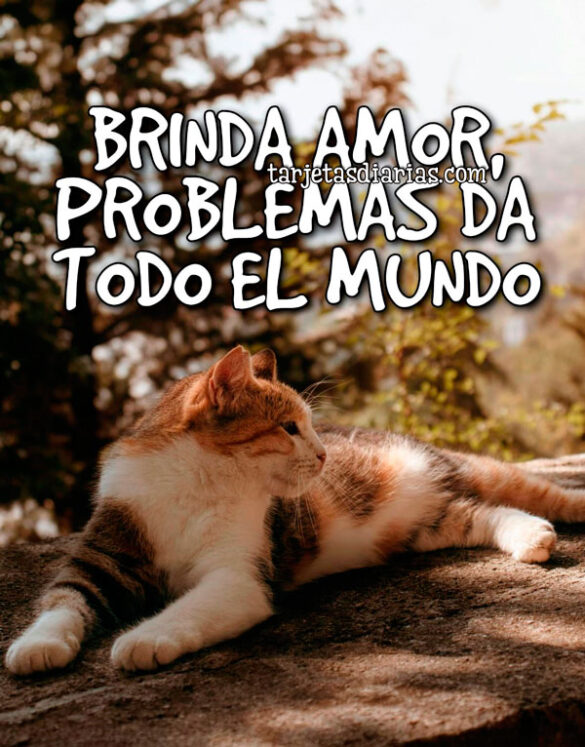 BRINDA AMOR, PROBLEMAS DA TODO EL MUNDO