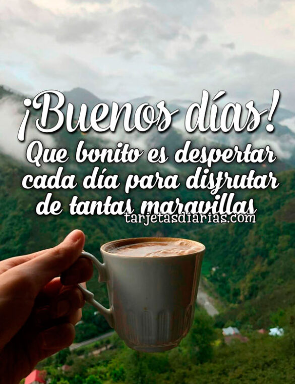 ¡BUENOS DÍAS! QUE BONITO ES DESPERTAR CADA DÍA PARA DISFRUTAR DE TANTAS MARAVILLAS