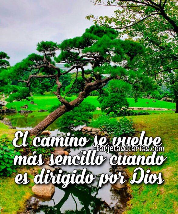 EL CAMINO SE VUELVE MÁS SENCILLO CUANDO ES DIRIGIDO POR DIOS