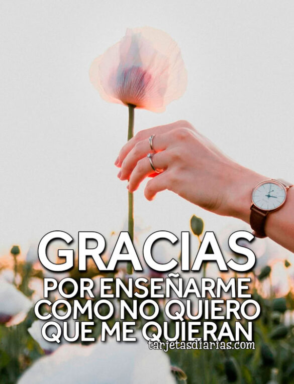 GRACIAS POR ENSEÑARME COMO NO QUIERO QUE ME QUIERAN