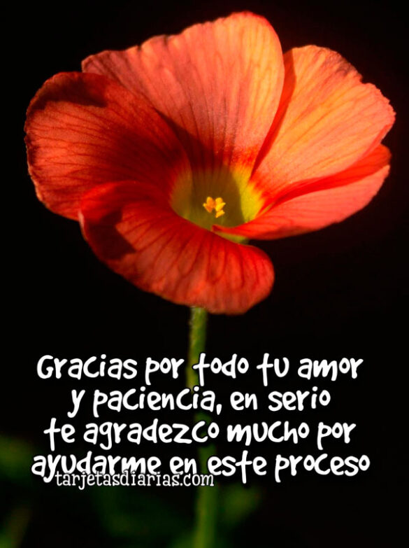 GRACIAS POR TODO TU AMOR Y PACIENCIA, EN SERIO TE AGRADEZCO MUCHO AYUDARME EN ESTE PROCESO