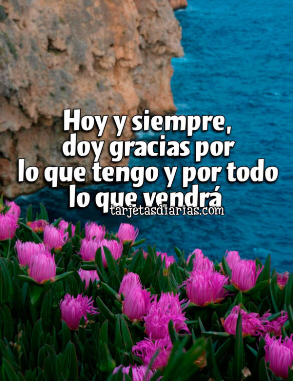 HOY Y SIEMPRE, DOY GRACIAS POR LO QUE TENGO Y POR TODO LO QUE VENDRÁ