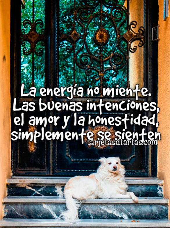 LA ENERGÍA NO MIENTE. LAS BUENAS INTENCIONES, EL AMOR Y LA HONESTIDAD SIMPLEMENTE SE SIENTEN