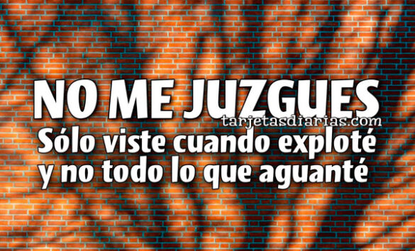 NO ME JUZGUES. SÓLO VISTE CUANDO EXPLOTÉ Y NO TODO LO QUE AGUANTÉ