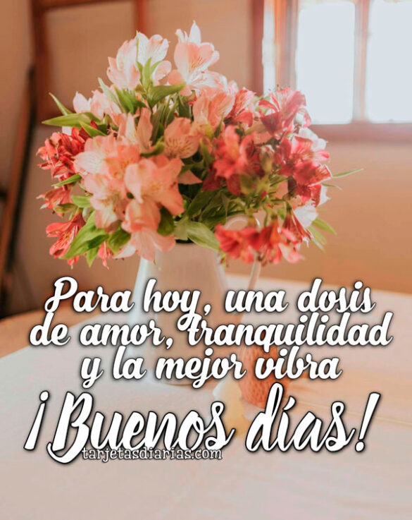 PARA HOY, UNA DOSIS DE AMOR, TRANQUILIDAD Y LA MEJOR VIBRA. ¡BUENOS DÍAS!