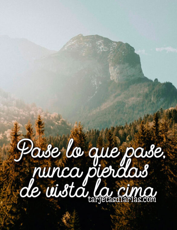 PASE LO QUE PASE, NUNCA PIERDAS DE VISTA LA CIMA