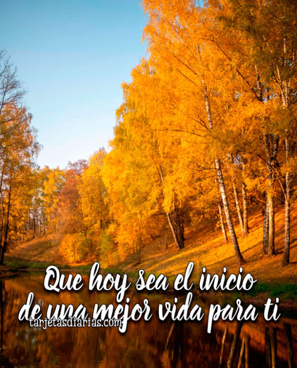 QUE HOY SEA EL INICIO DE UNA MEJOR VIDA PARA TI