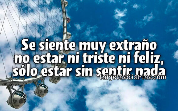 SE SIENTE MUY EXTRAÑO NO ESTAR NI TRISTE NI FELIZ, SÓLO ESTAR SIN SENTIR NADA