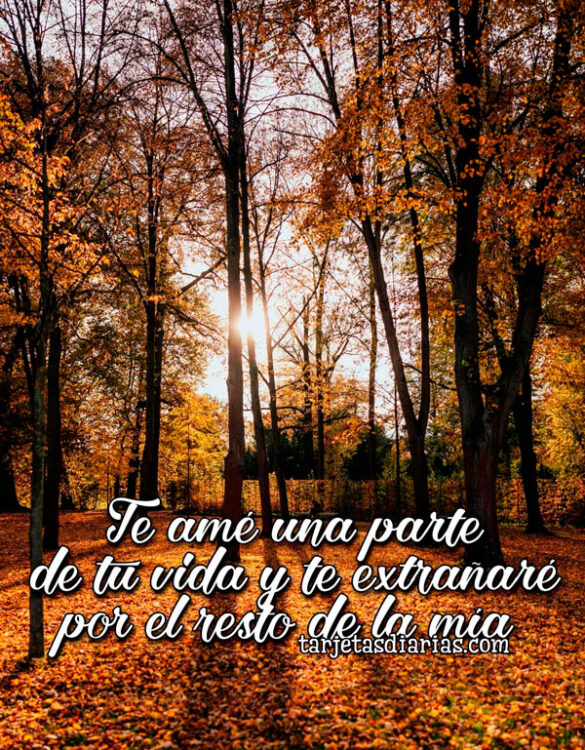 TE AMÉ UNA PARTE DE TU VIDA Y TE EXTRAÑARÉ POR EL RESTO DE LA MÍA