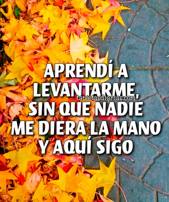 APRENDÍ A LEVANTARME, SIN QUE NADIE ME DIERA LA MANO Y AQUÍ SIGO