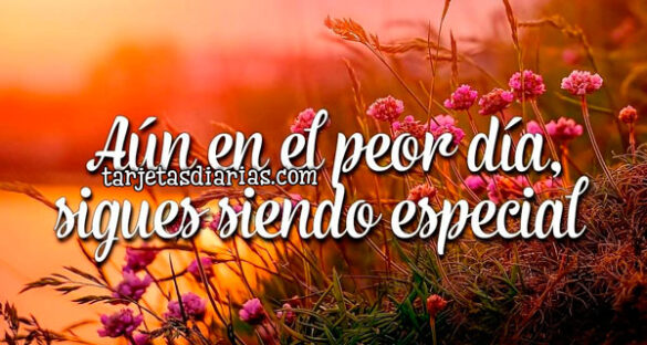 AÚN EN EL PEOR DÍA, SIGUES SIENDO ESPECIAL