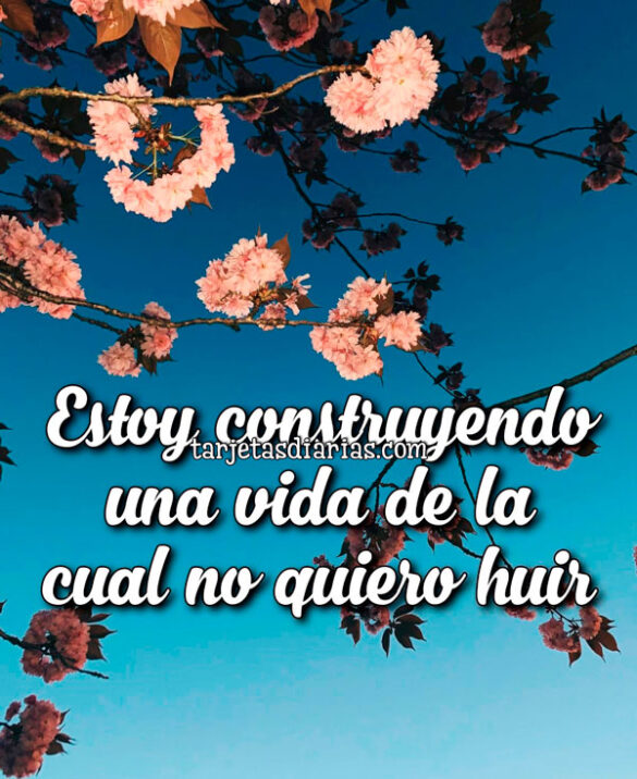 ESTOY CONSTRUYENDO UNA VIDA DE LA CUAL NO QUIERO HUIR