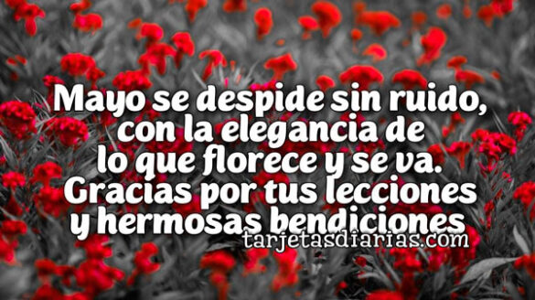 MAYO SE DESPIDE SIN RUIDO, CON LA ELEGANCIA DE LO QUE FLORECE Y SE VA. GRACIAS POR TUS LECCIONES Y HERMOSAS BENDICIONES