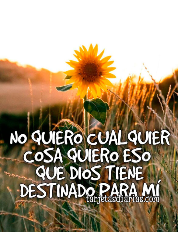 NO QUIERO CUALQUIER COSA QUIERO ESO QUE DIOS TIENE DESTINADO PARA MÍ