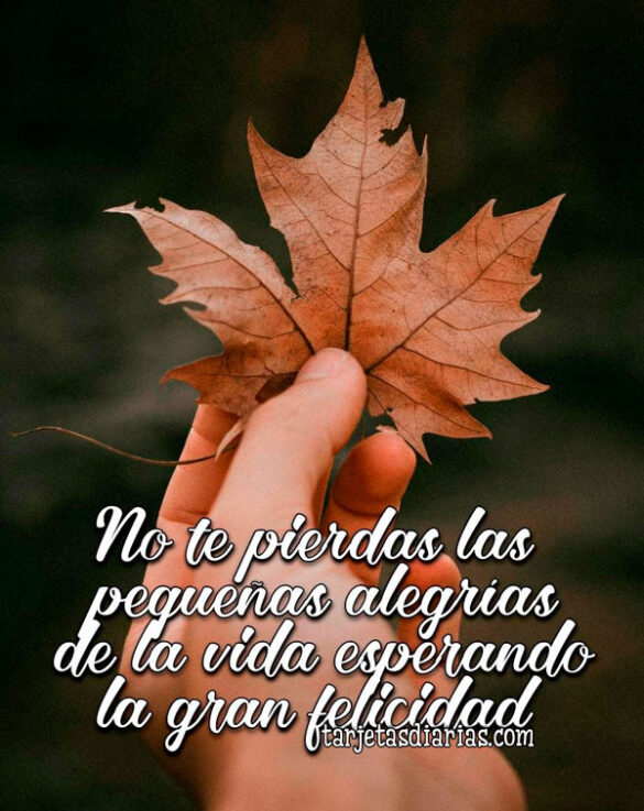 NO TE PIERDAS LAS PEQUEÑAS ALEGRÍAS DE LA VIDA ESPERANDO LA GRAN FELICIDAD