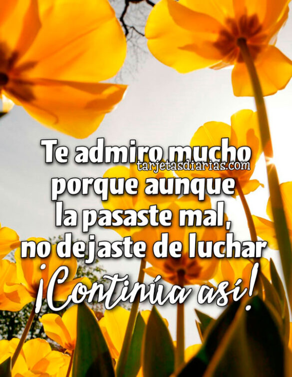 TE ADMIRO MUCHO PORQUE AUNQUE LA PASASTE MUY MAL, NO DEJASTE DE LUCHAR