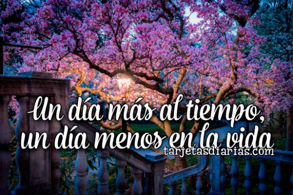 UN DÍA MÁS AL TIEMPO, UN DÍA MENOS EN LA VIDA