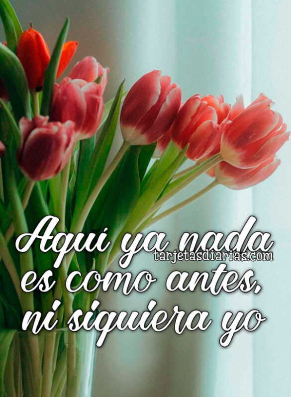 AQUÍ YA NADA ES COMO ANTES, NI SIQUIERA YO
