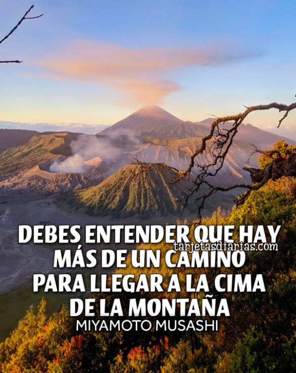 DEBES ENTENDER QUE HAY MÁS DE UN CAMINO PARA LLEGAR A LA CIMA DE LA MONTAÑA