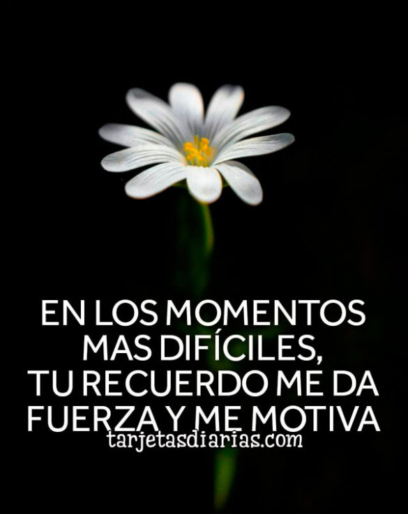 EN LOS MOMENTOS MÁS DIFICILES, TU RECUERDO ME DA LA FUERZA QUE ME MOTIVA