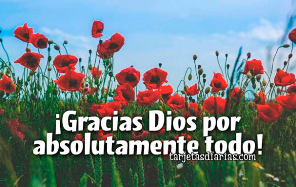 ¡GRACIAS DIOS POR ABSOLUTAMENTE TODO!