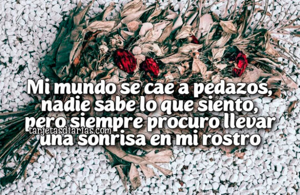 MI MUNDO SE CAE A PEDAZOS, NADIE SABE LO QUE SIENTO, PERO SIEMPRE PROCURO LLEVAR UNA SONRISA EN MI ROSTRO