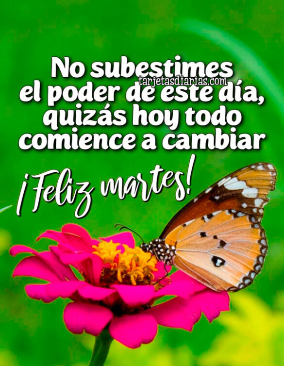 NO SUBESTIMES EL PODER DE ESTE DÍA, QUIZÁS HOY TODO COMIENCE A CAMBIAR. ¡FELIZ MARTES!