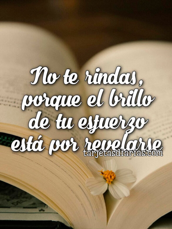 NO TE RINDAS PORQUE EL BRILLO DE TU ESFUERZO ESTÁ POR REVELARSE