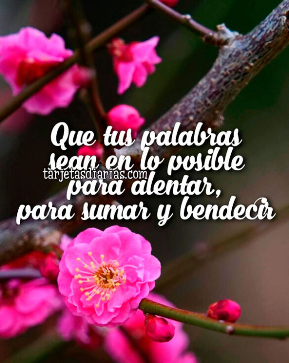 QUE TUS PALABRAS SEAN EN LO POSIBLE PARA ALENTAR, PARA SUMAR Y BENDECIR